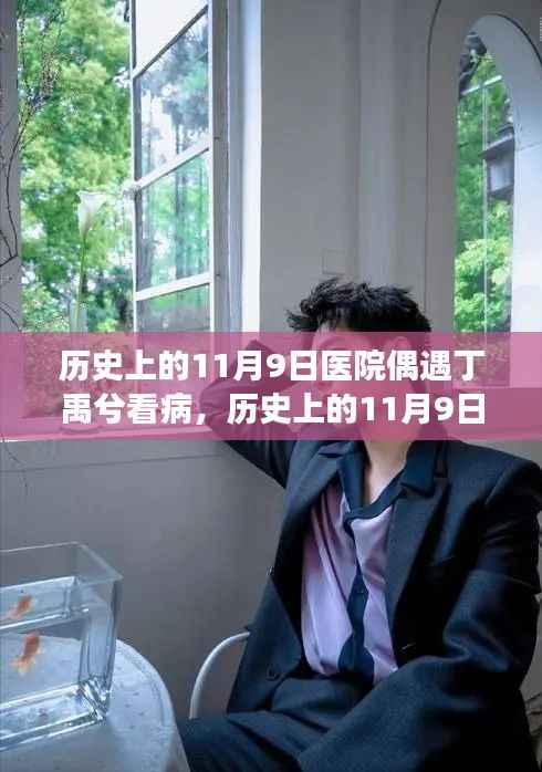 历史上的11月9日,偶遇丁禹兮就医事件全解读