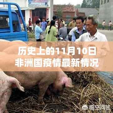 没精打采 第33页