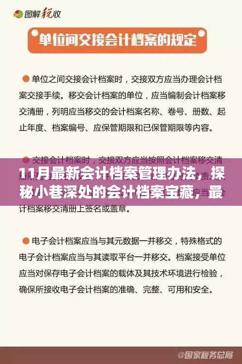 探秘最新会计档案管理办法,小巷深处的宝藏与独特故事揭秘