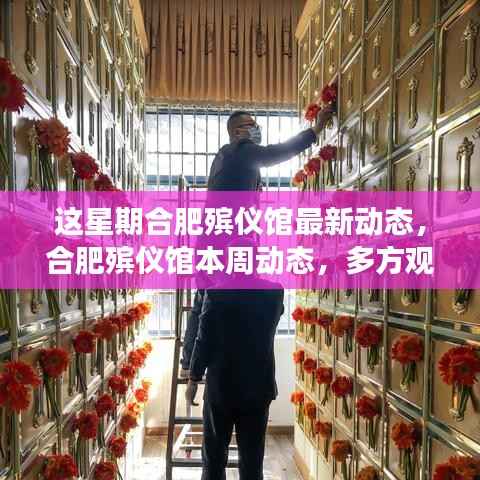 合肥殡仪馆本周多方观点深度解读,最新动态与探讨