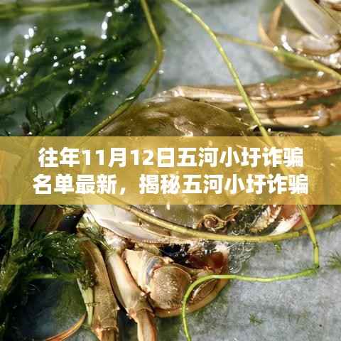 五河小圩诈骗揭秘,最新名单曝光与防范指南详解