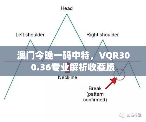 澳门今晚一码中特,VQR300.36专业解析收藏版