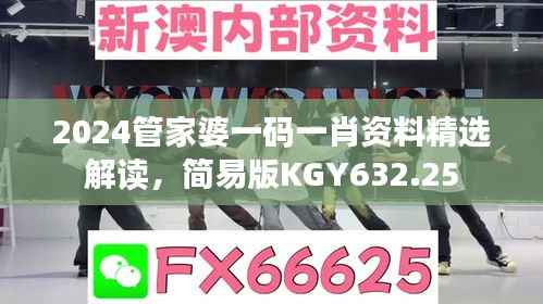 2024管家婆一码一肖资料精选解读,简易版KGY632.25