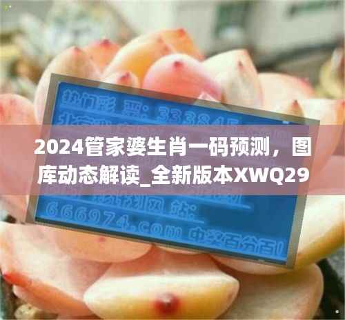 2024管家婆生肖一码预测,图库动态解读_全新版本XWQ290.47