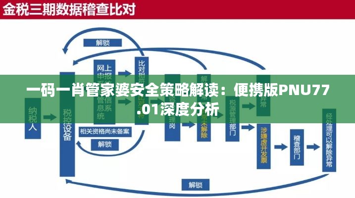 一码一肖管家婆安全策略解读:便携版PNU77.01深度分析