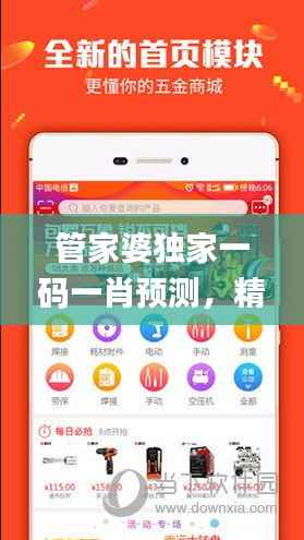 管家婆独家一码一肖预测,精准解析精选版_AON162.32网络版