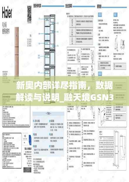 新奥内部详尽指南,数据解读与说明_融天境GSN335.3
