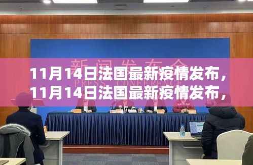 法国最新疫情发布深度解析,当前形势与应对策略探讨(11月14日更新)