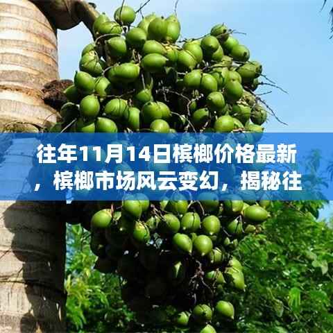 揭秘,槟榔市场风云变幻,往年11月14日槟榔价格最新动态