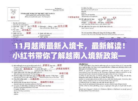 小红书解读,最新越南入境卡详解及新政策解析