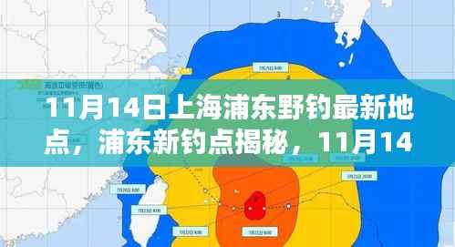 探寻自然之鱼的乐园,上海浦东新钓点揭秘与垂钓盛宴(11月14日)