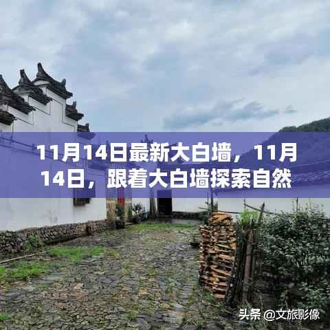 11月14日大白墙引领自然秘境之旅,探索内心宁静与平和的奥秘