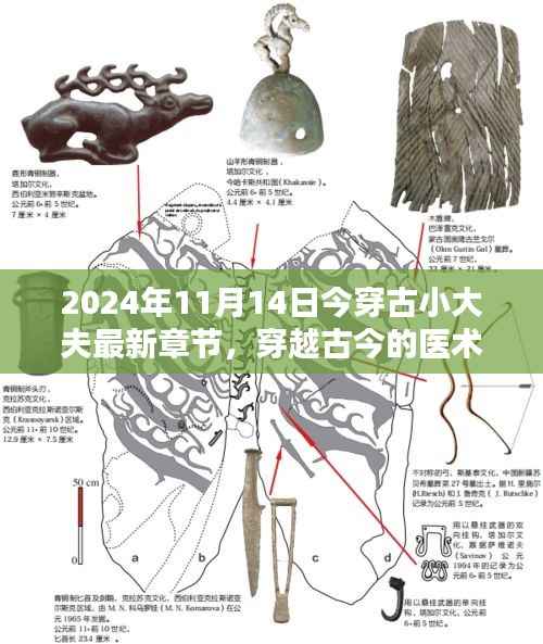 穿越古今的医术传承,今穿古小大夫最新章节探讨与观点分享