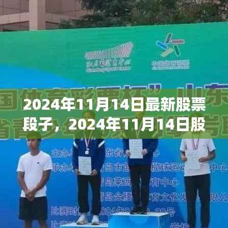 揭秘未来投资热点,最新股市动态与股票段子,2024年11月14日深度解析