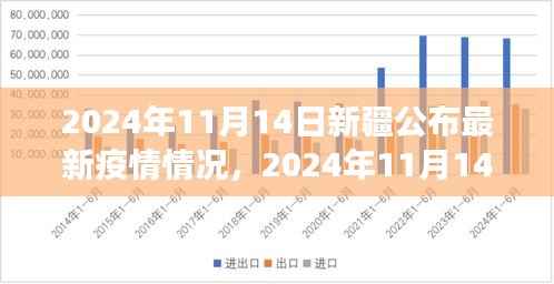 新疆最新疫情情况解读与案例分析,全面公布与深入分析(2024年11月14日)