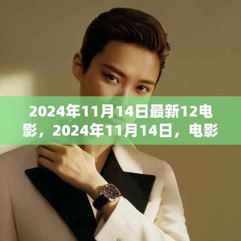 十二时空之门,电影巨献的辉煌与启示(2024年11月14日最新电影资讯)