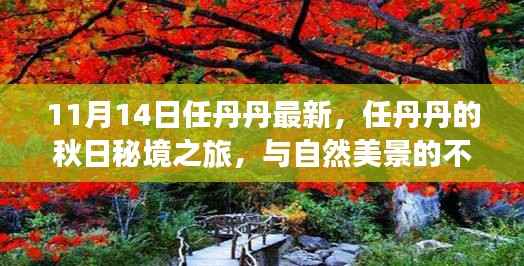 任丹丹秋日秘境之旅,与自然美景的不解之缘