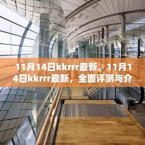 11月14日kkrrr最新资讯,全面评测与介绍