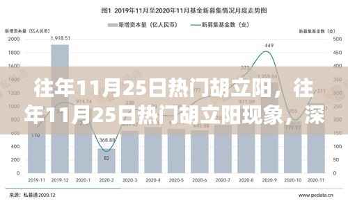 深度解析与观点阐述,胡立阳现象——历年11月25日的热门焦点