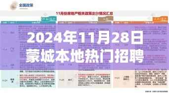 蒙城本地热门招聘信息深度解析与评测报告(2024年11月28日)