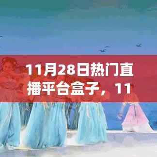 11月28日热门直播平台盒子,学习、自信与梦想成就之路