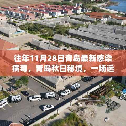 青岛秋日秘境,病毒之外的绿色探险之旅