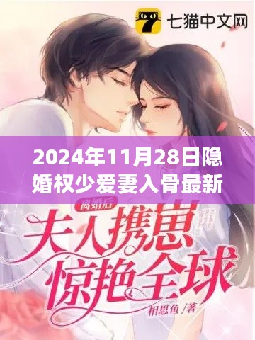 隐婚权少爱妻入骨深度解析与最新体验报告(2024年11月28日)