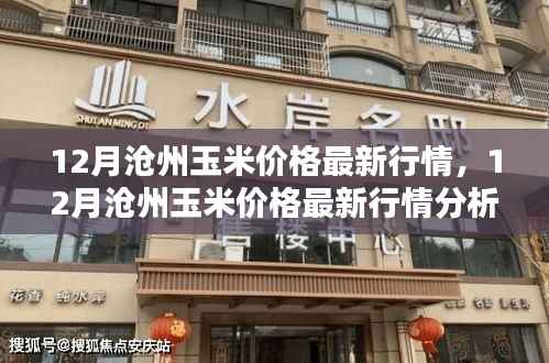 12月沧州玉米价格行情及分析