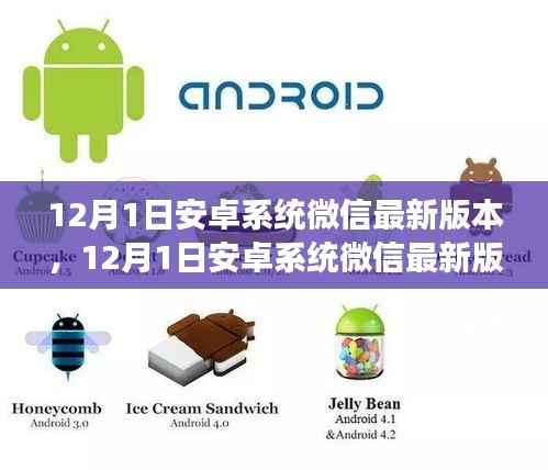 安卓系统微信最新版本功能解析与体验分享,深度体验报告(12月1日更新版)