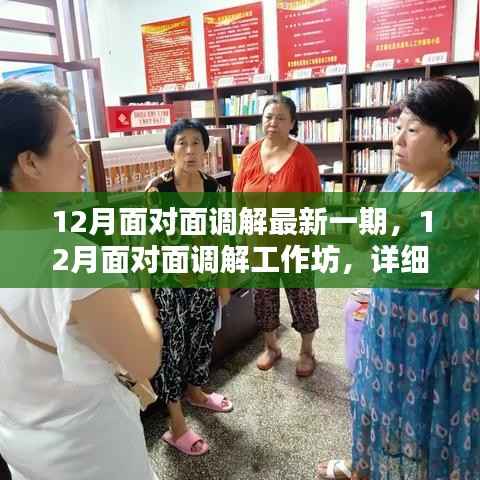 12月面对面调解工作坊,最新一期详细步骤指南与调解策略