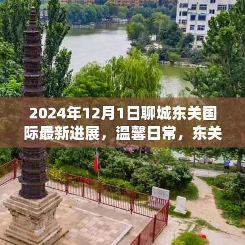 东关国际蜕变记,最新进展与情感纽带,温馨日常见证聊城的蜕变之路(2024年)