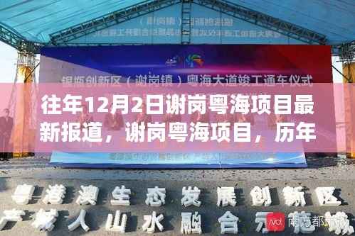 谢岗粤海项目历年深度解读与最新进展报道,历年12月2日最新报道汇总分析