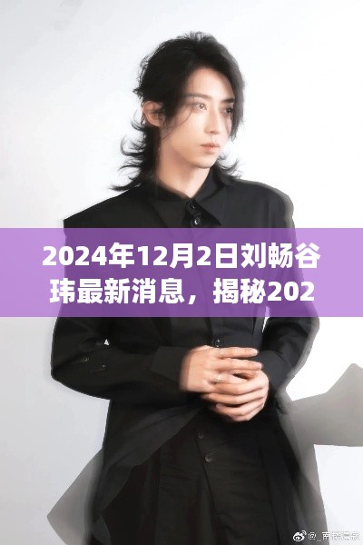 揭秘刘畅与谷玮,星光闪耀的最新动态与盛宴(2024年12月2日)