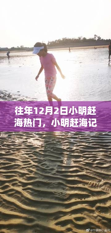 小明赶海记,寻找潮汐之声与内心的宁静之旅