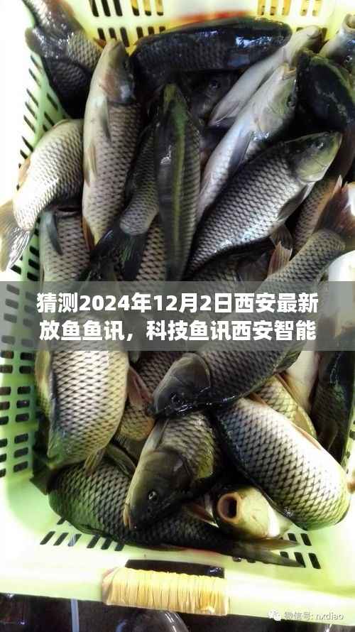 智能放鱼新纪元,西安科技鱼讯系统预见未来鱼讯动态,2024年放鱼计划启动