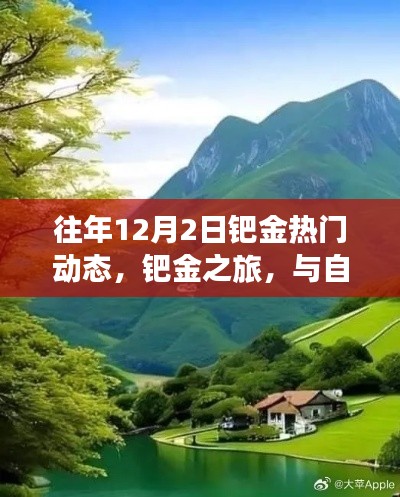钯金之旅,与自然美景相遇,探寻内心宁静的热门动态回顾