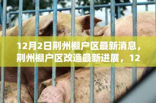 荆州棚户区改造最新进展深度报道,12月2日更新消息