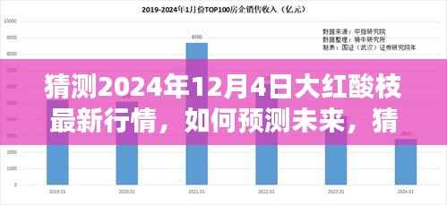 2024年预测,大红酸枝最新行情展望与步骤指南