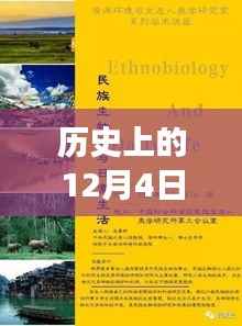 历史上的十二月四日,热门网站ri004的变迁与影响回顾