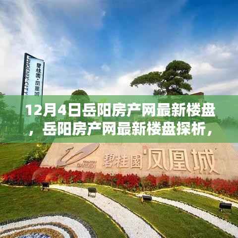 岳阳房产网最新楼盘深度解析,投资价值的探究