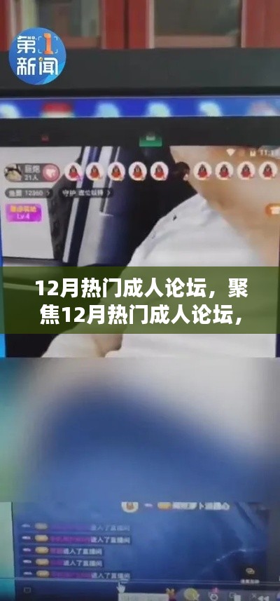 涉黄问题的深度探讨,12月热门成人论坛聚焦