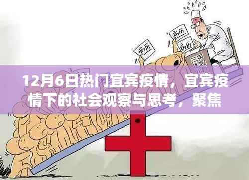 宜宾疫情观察与反思,社会影响下的正反两面观点分析