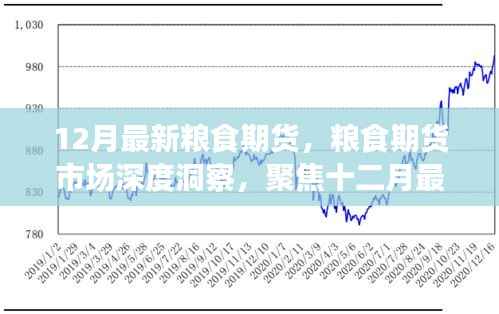 聚焦粮食期货市场深度洞察,十二月最新动态与市场趋势