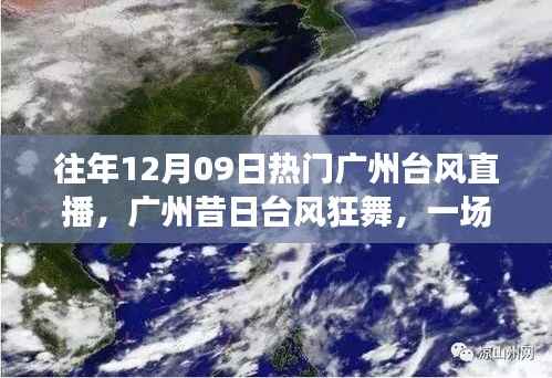 广州台风直播回顾,风云变幻,台风狂舞的一天