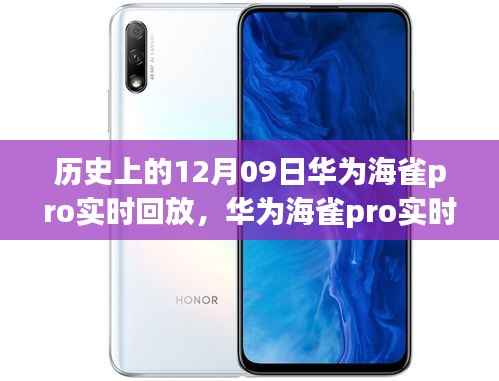 华为海雀pro实时回放功能的历史沿革深度解析与影响探讨
