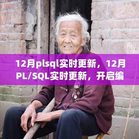 12月PL/SQL实时更新,开启编程之旅,迈向自信与成就的新纪元