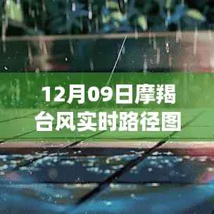 摩羯台风直播,12月09日实时路径图直播观看指南及初学者指南
