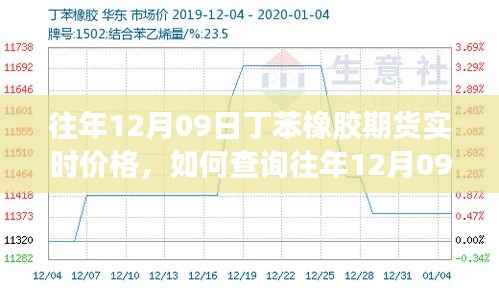如何查询往年12月09日丁苯橡胶期货实时价格,详细步骤及最新价格信息指南