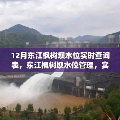 东江枫树坝水位管理,实时查询背后的权衡与观点探讨