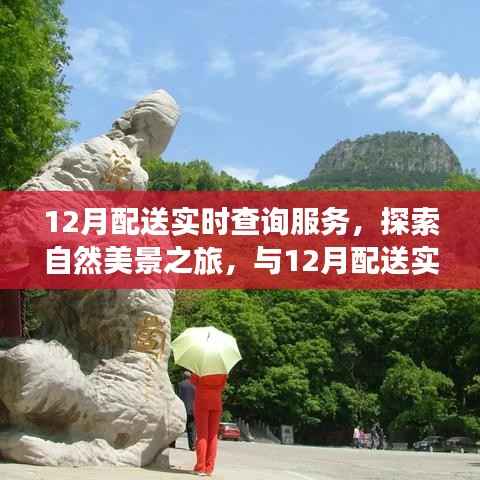 12月配送实时查询服务,自然美景之旅,探寻内心的宁静与平和